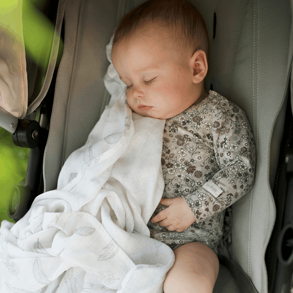 Multi-use bamboo muslin Trio-pack - Koala