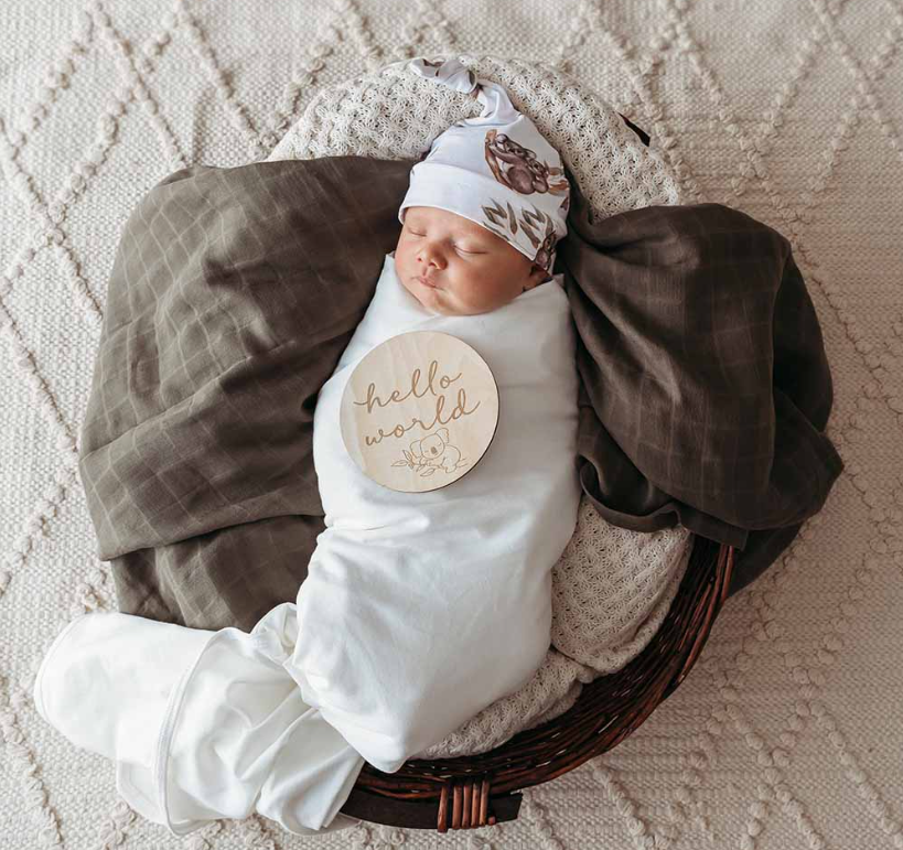 Milestone cards wooden Koala