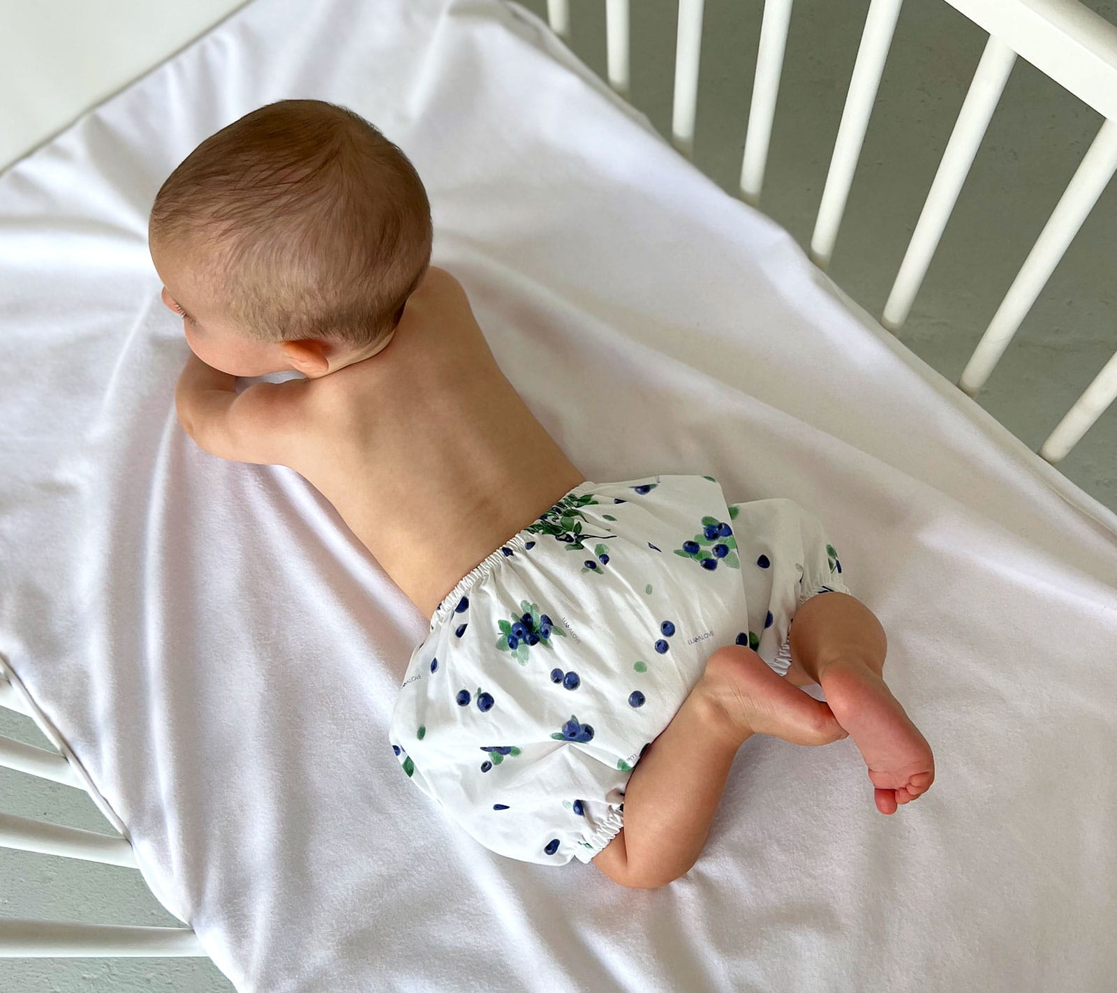 Shorts - Blueberries