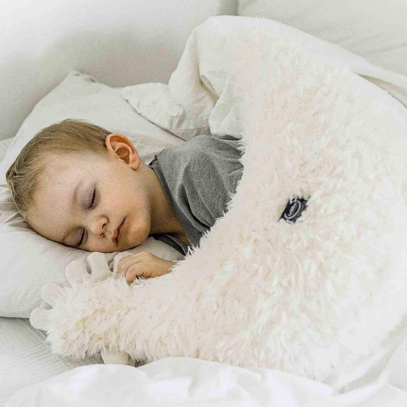 Nursing pillow Wild chick - Vanilla - Mamastore