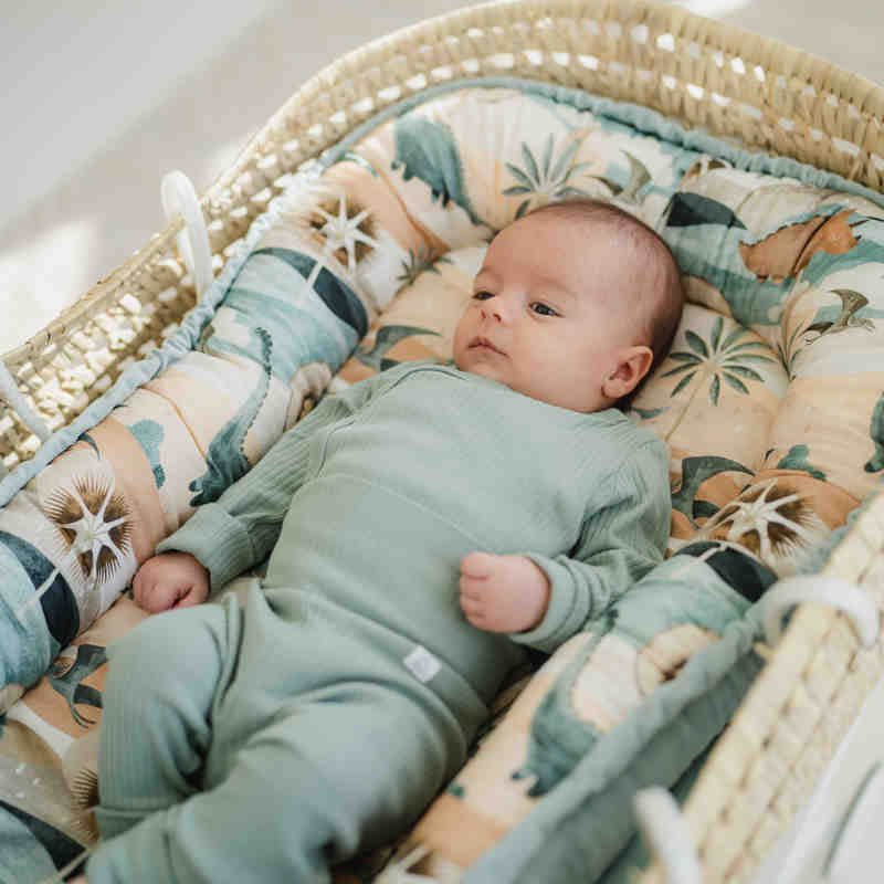 Babynest - Bright Luna