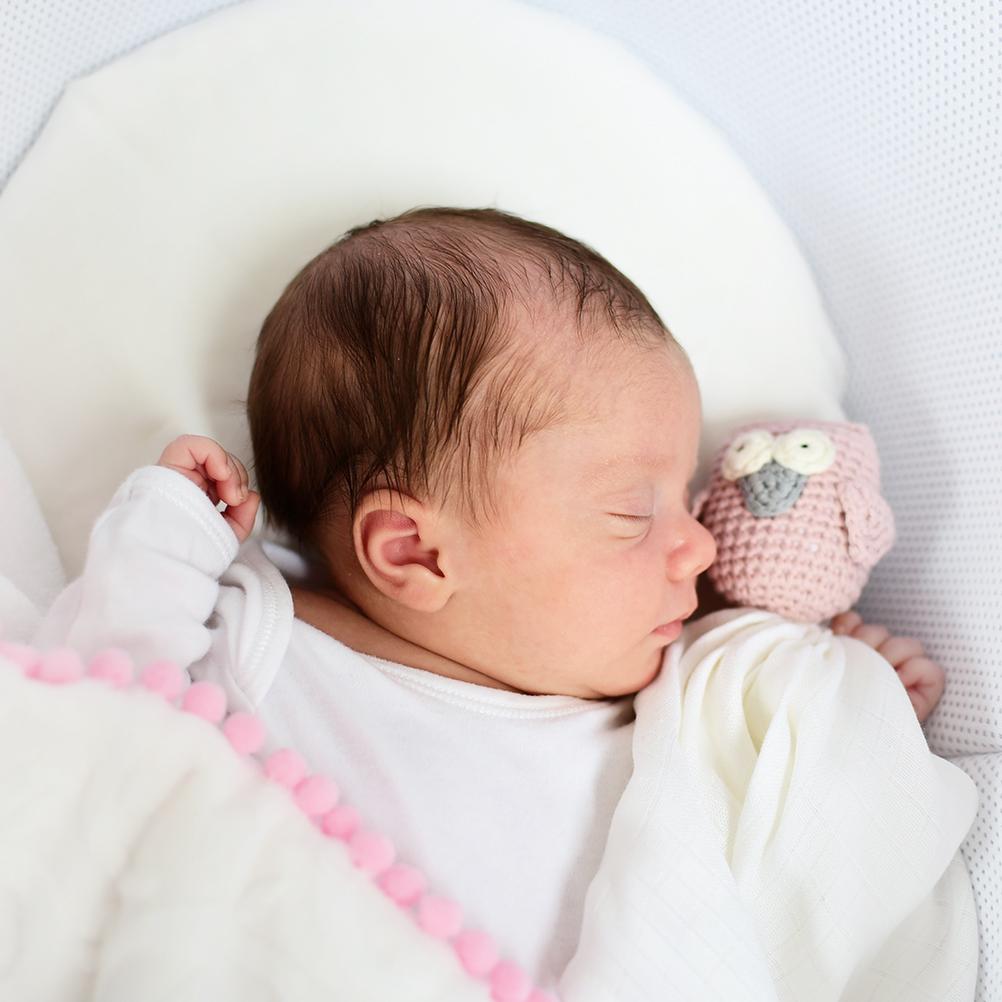 Comfort Toy - Blue owl - Mamastore