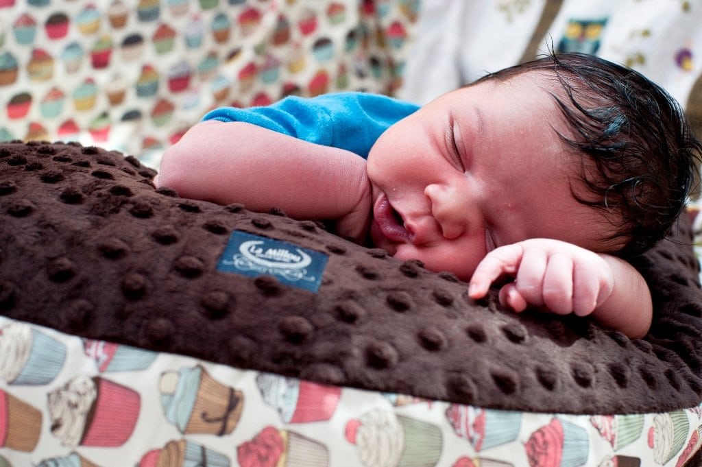 Nursing pillow Wild chick - Vanilla - Mamastore