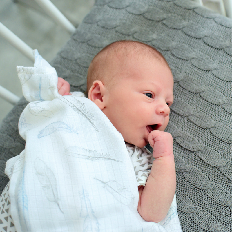 Multi-use bamboo muslin - Heavenly Feathers